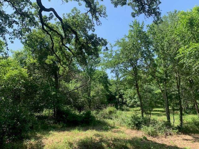 266  Colovista Pkwy photo 5