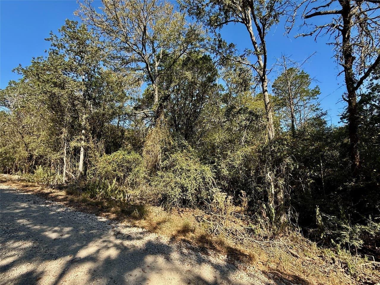 TBD Lot 1232  Hanauma Dr photo 4