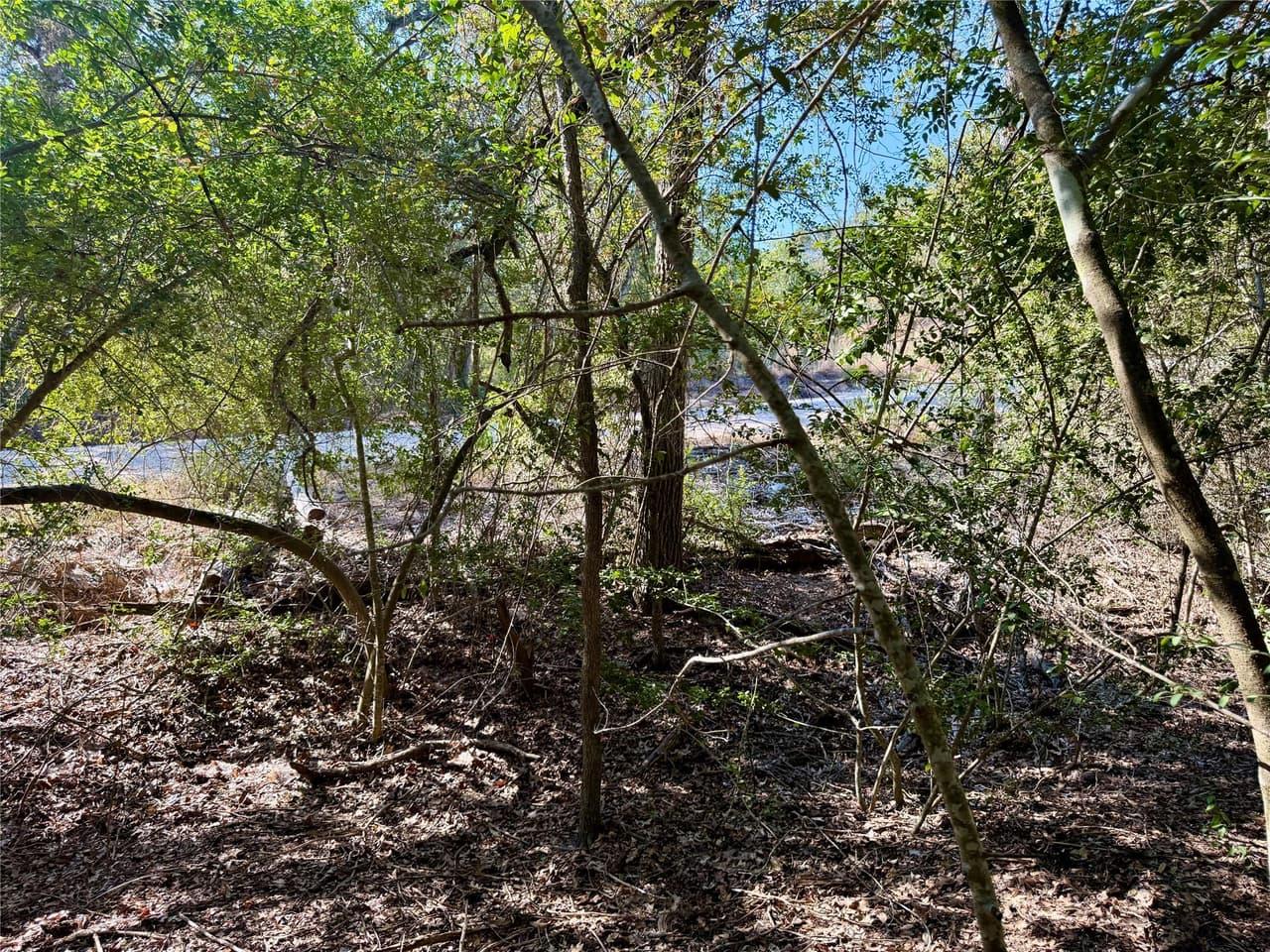 TBD Lot 1232  Hanauma Dr photo 5