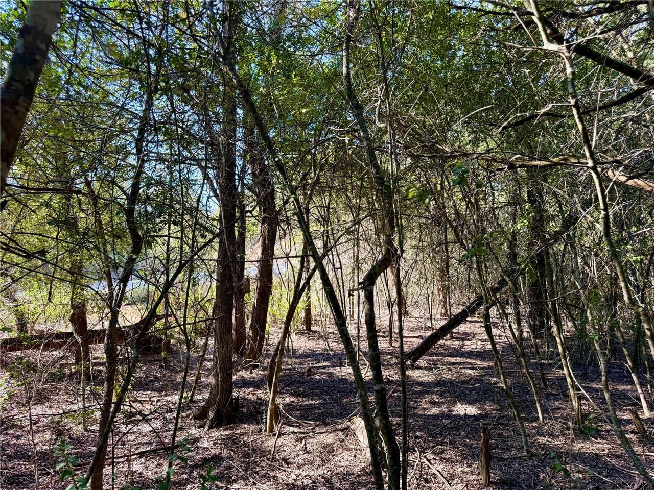 TBD Lot 1232  Hanauma Dr photo 6
