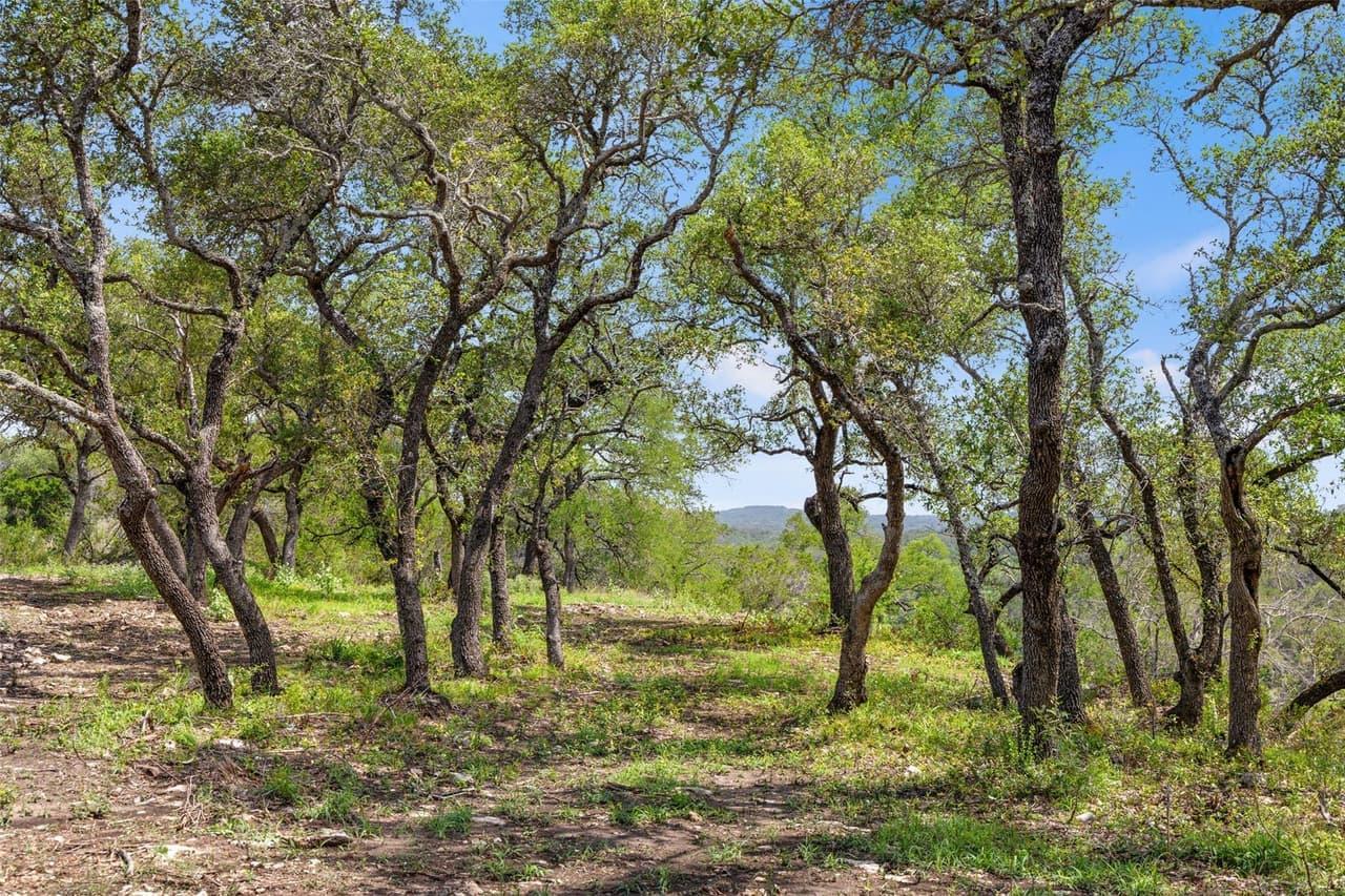 Lot 7  Pedernales Canyon Trl  #Lot 7 photo 6