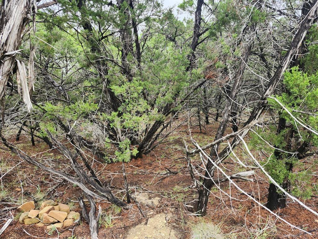 7707  Sagebrush Trl photo 5