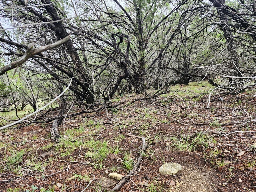 7707  Sagebrush Trl photo 6