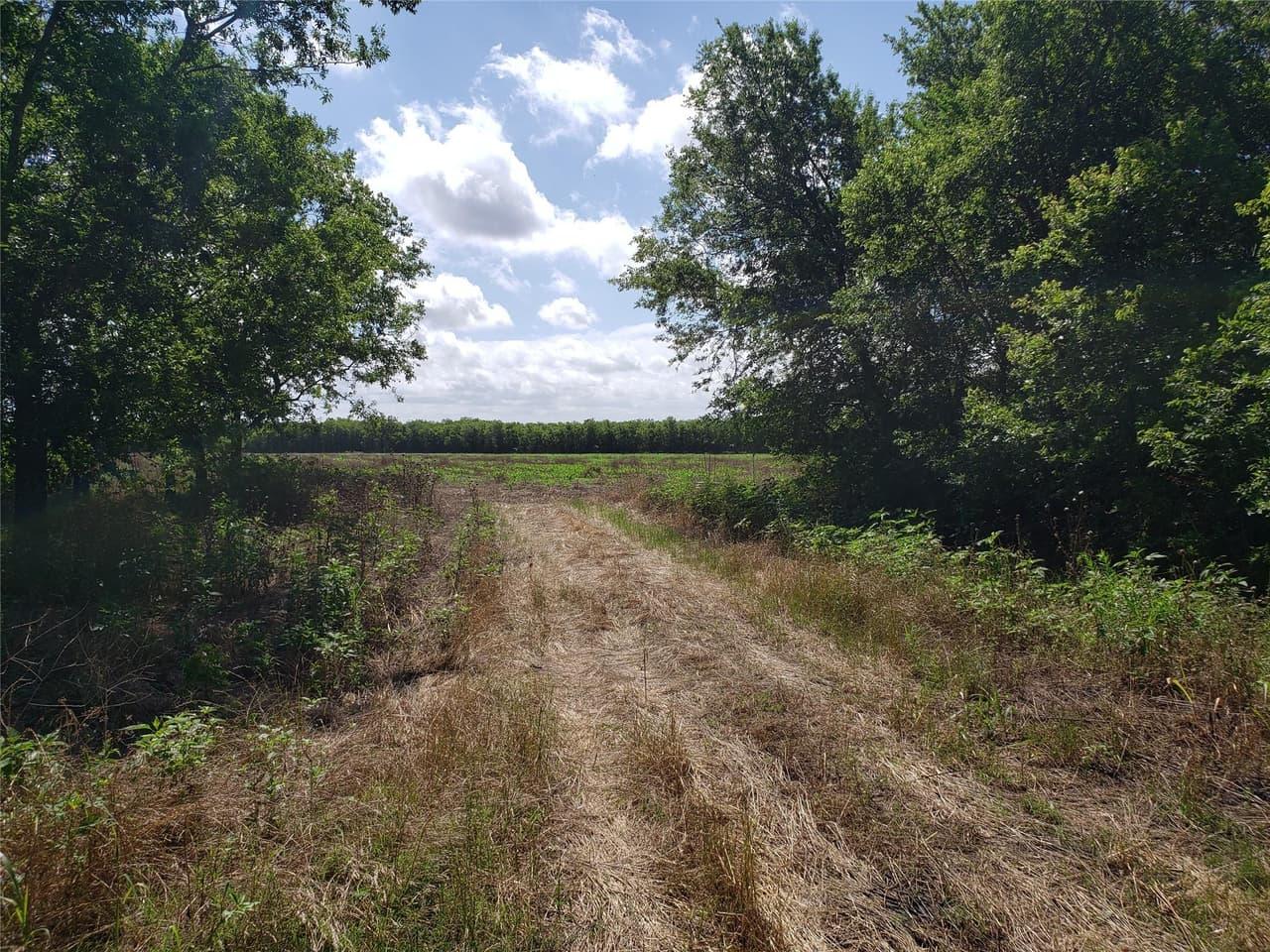 6015  Fm-1327 None photo 2