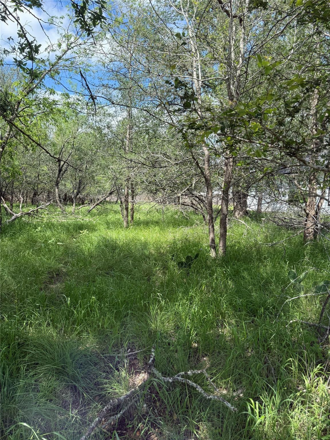 Lot 200  Nene Ln photo 2