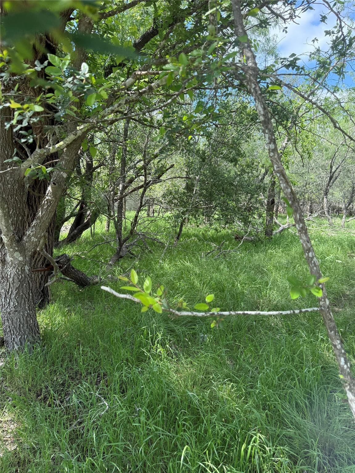 Lot 200  Nene Ln photo 3