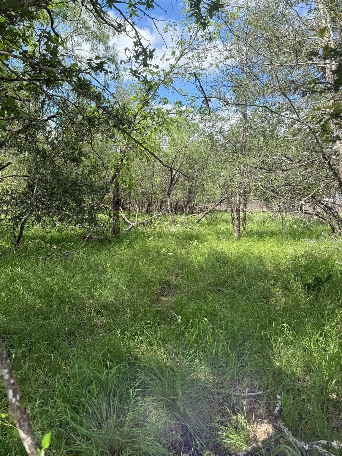 Lot 200  Nene Ln photo 4