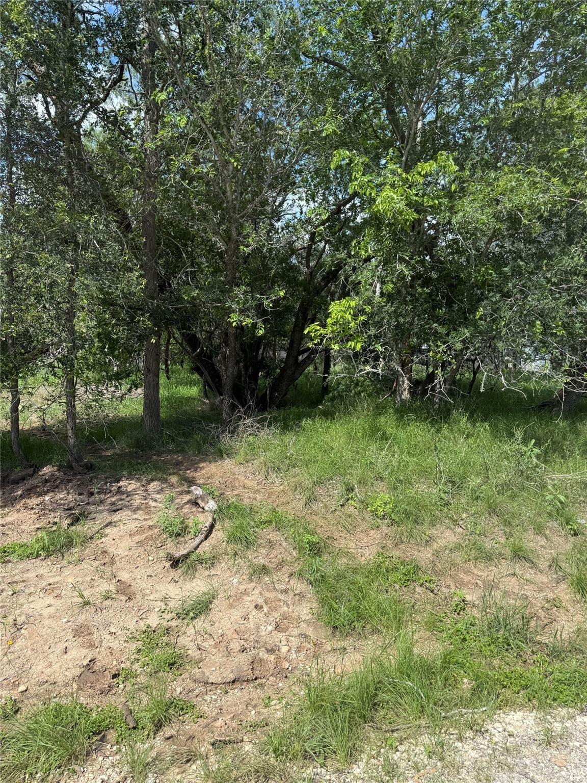 Lot 200  Nene Ln photo 6