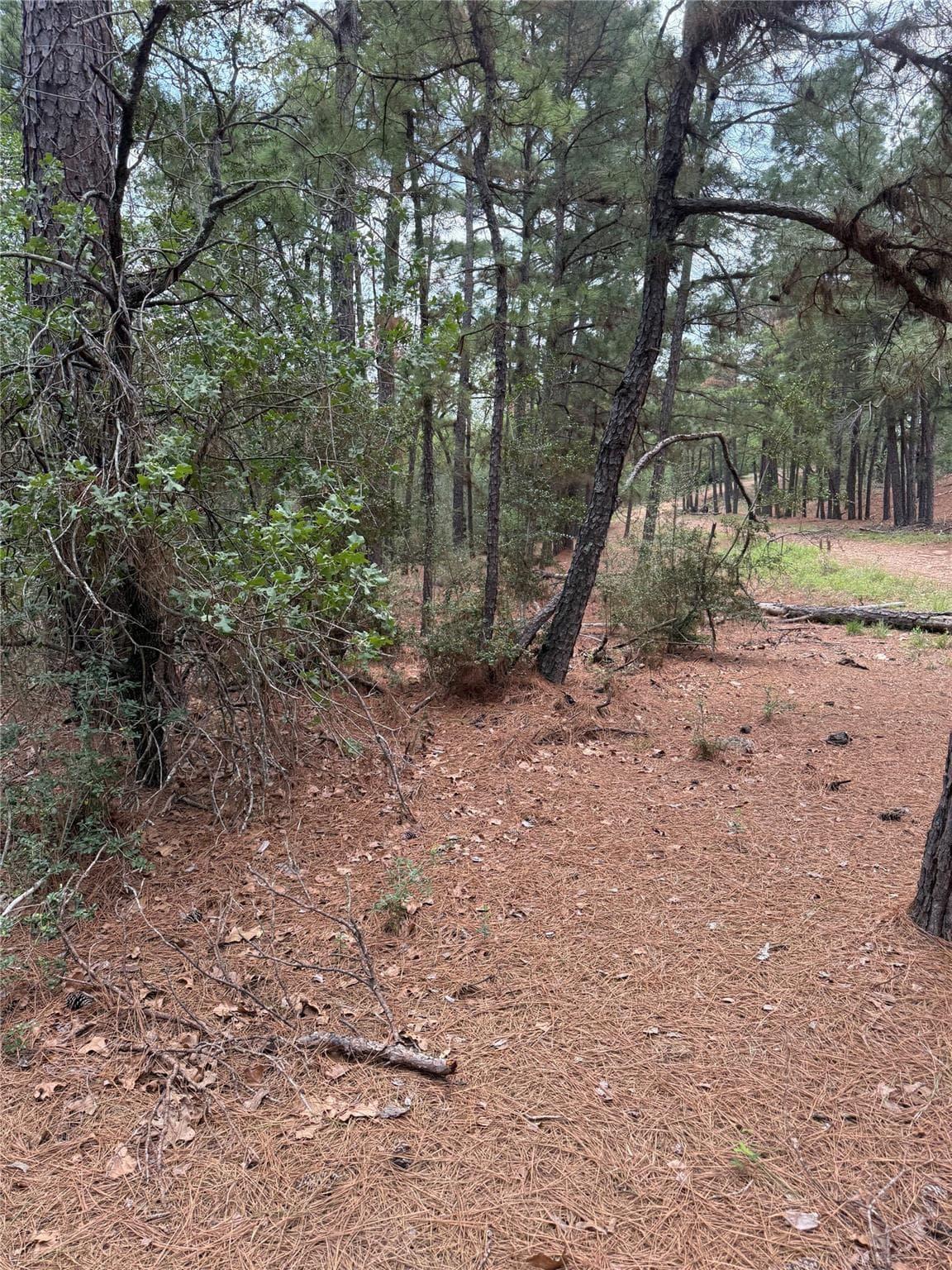 Lot 35  Tanglewood Dr