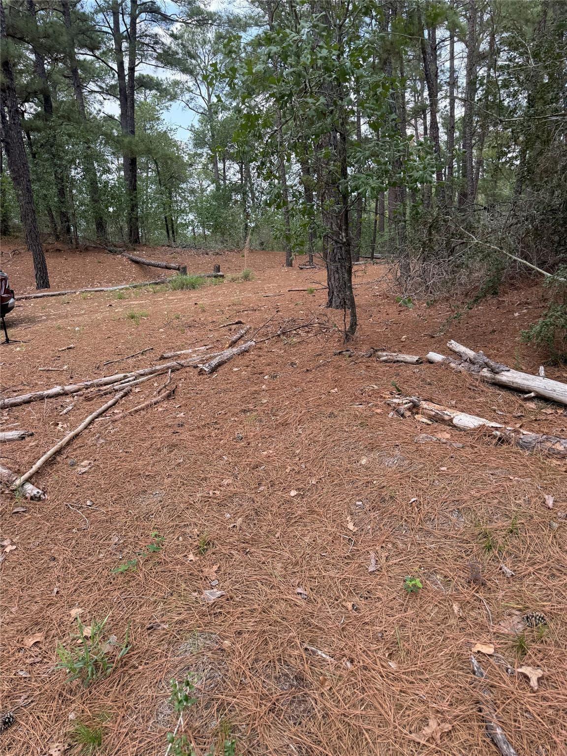 Lot 35  Tanglewood Dr photo 2