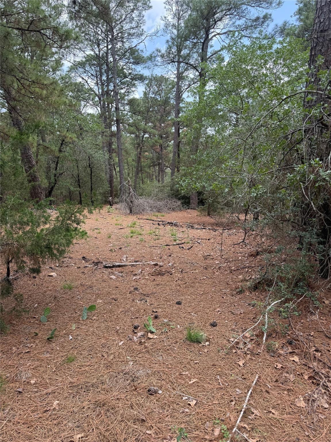 Lot 35  Tanglewood Dr photo 3