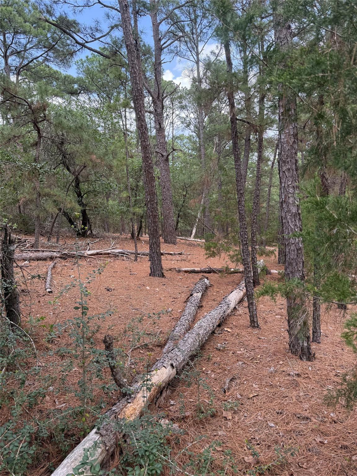 Lot 35  Tanglewood Dr photo 4