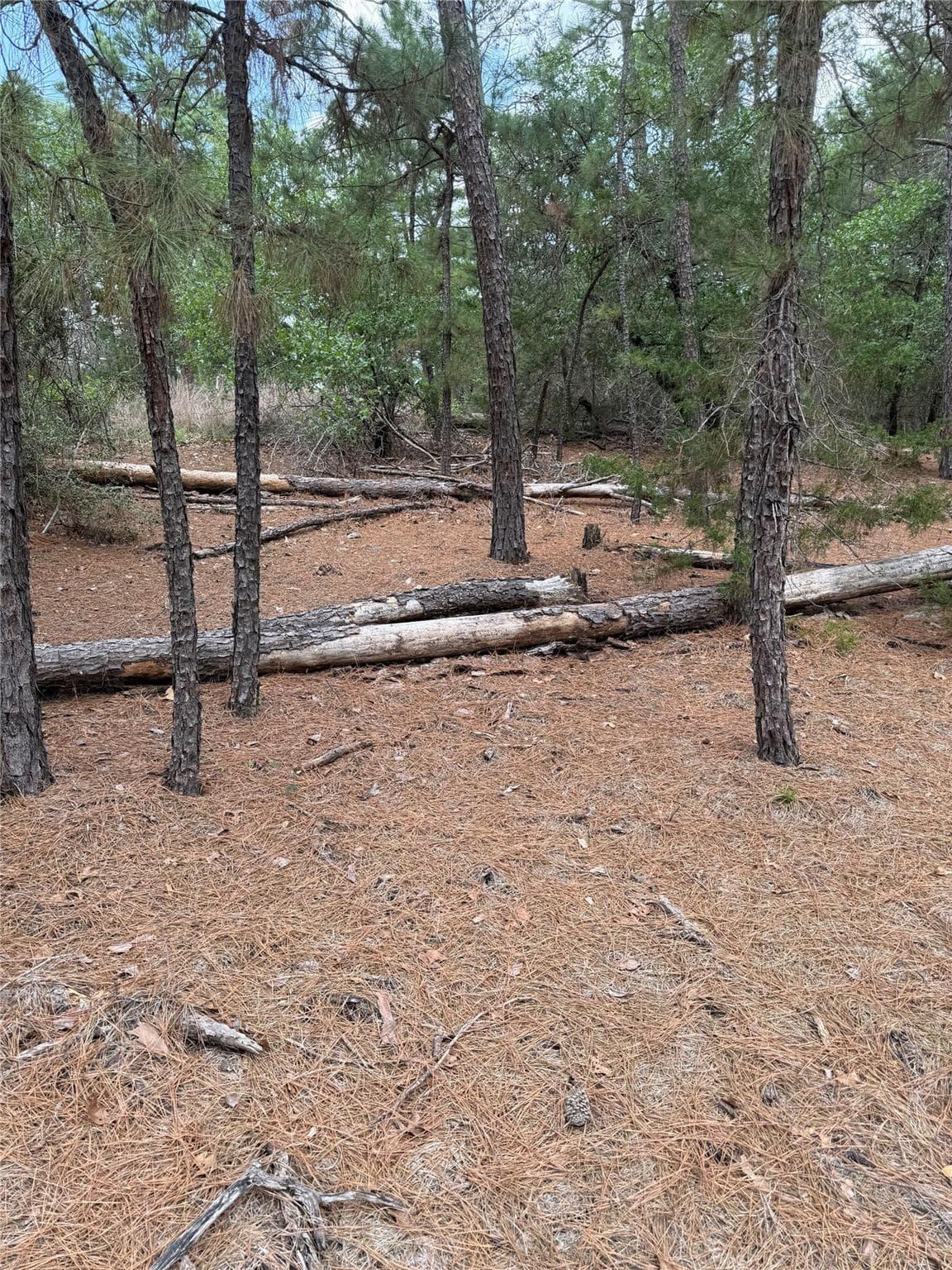 Lot 35  Tanglewood Dr photo 5