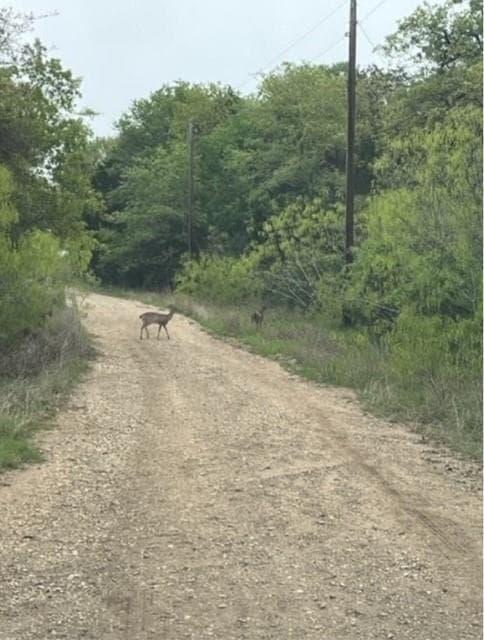 Lot 755  Bali Hai Ln photo 3