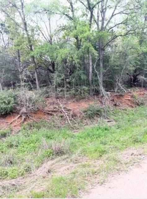 Lot 755  Bali Hai Ln photo 5