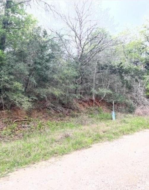 Lot 755  Bali Hai Ln photo 6