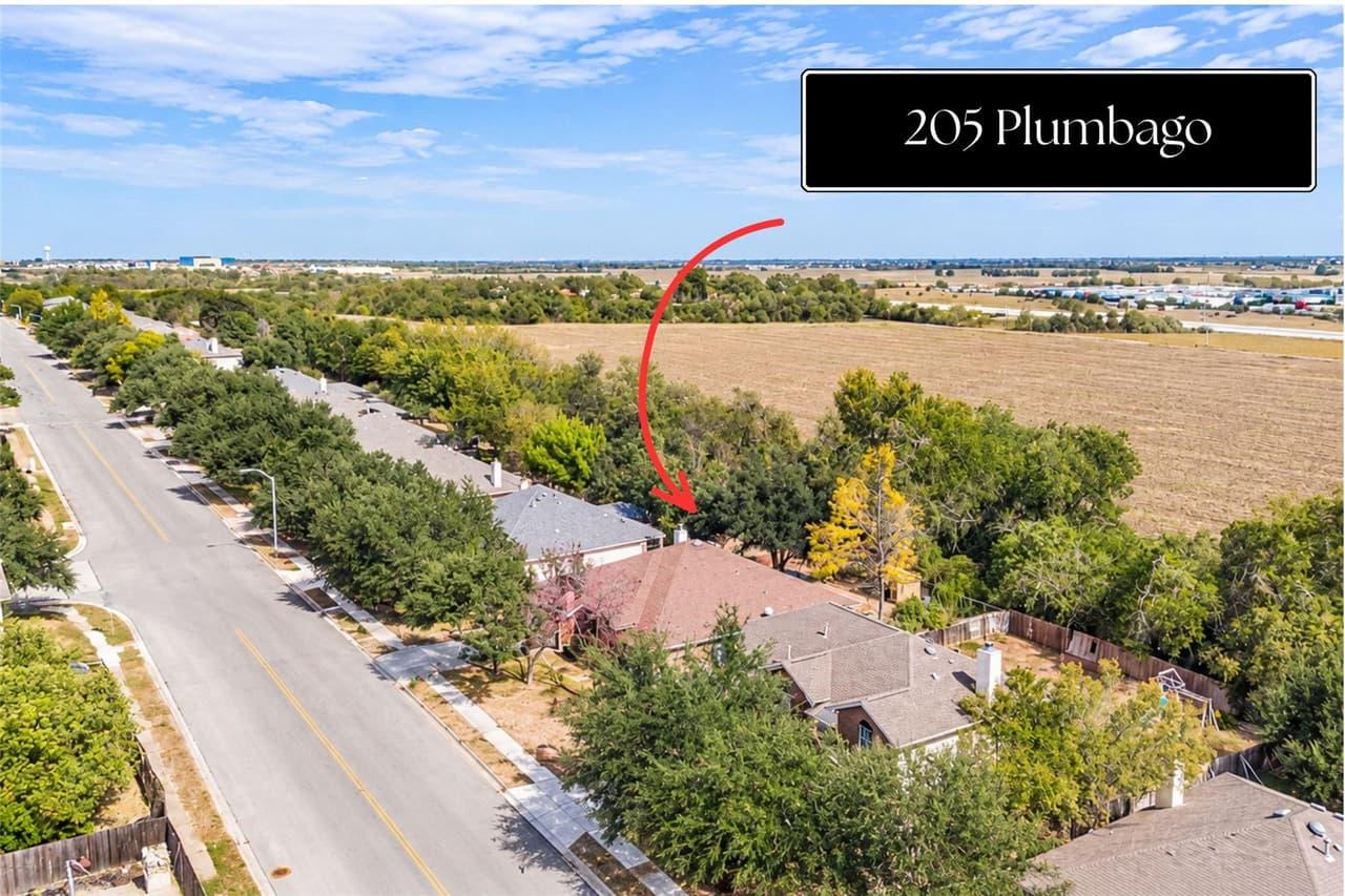205  Plumbago Dr
