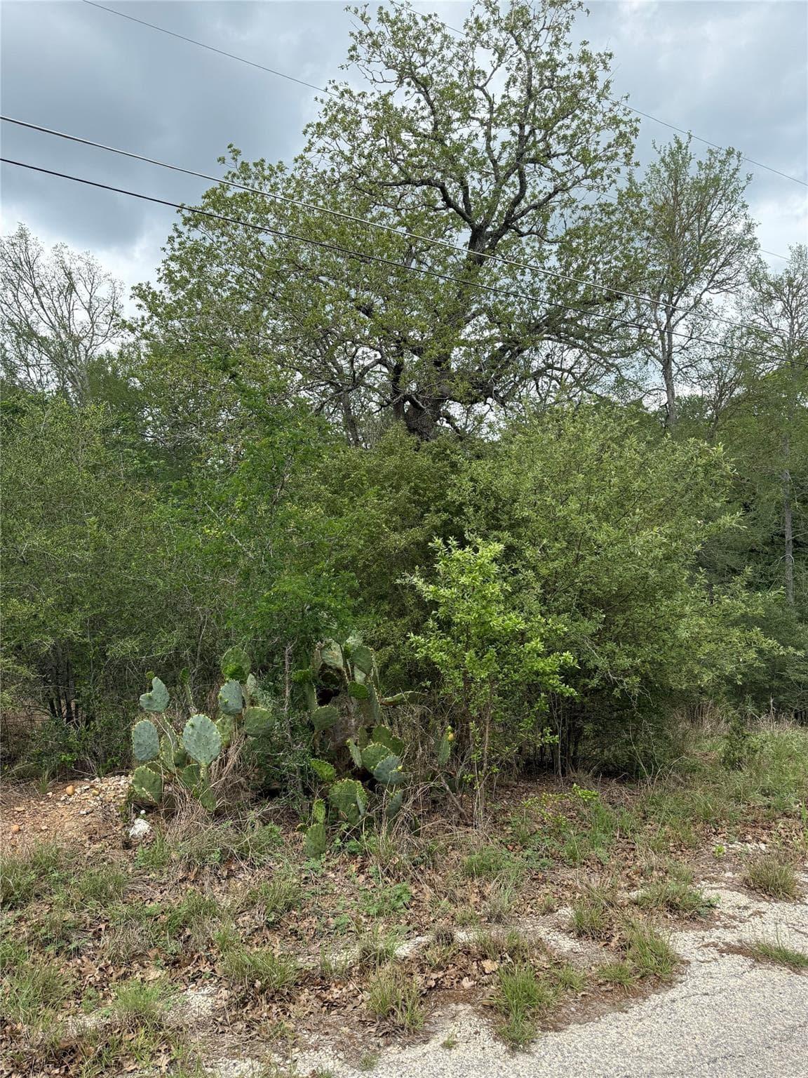 lot 69  Kaelepulu Dr photo 3