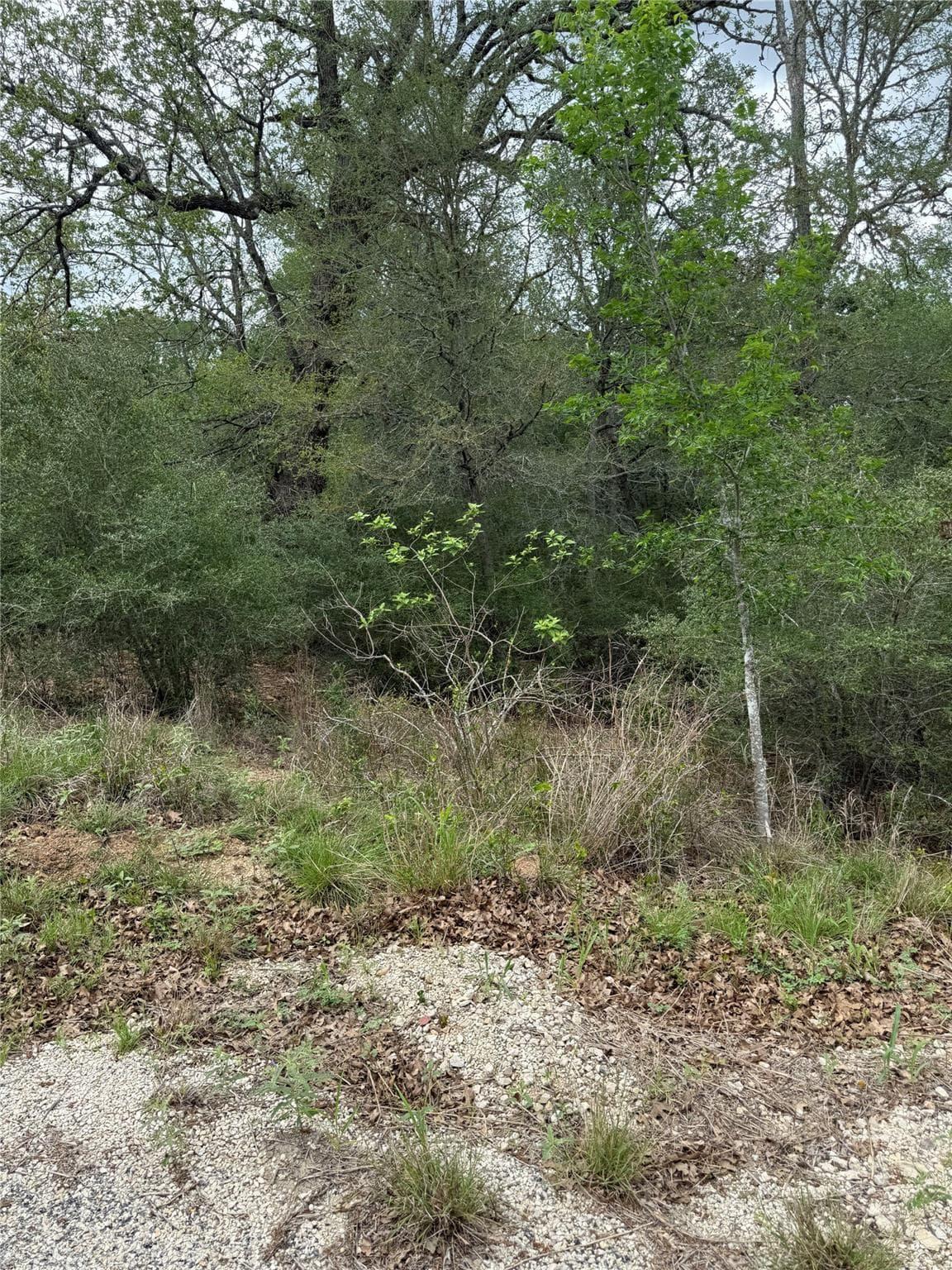lot 69  Kaelepulu Dr photo 4