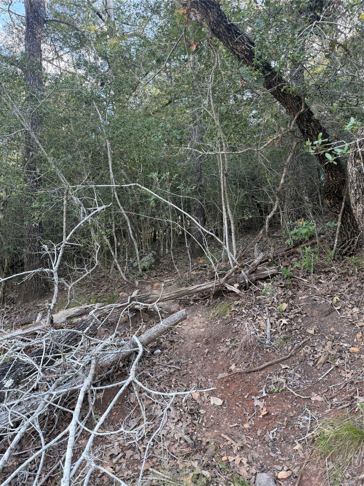 Lot 376  Palikea Cir