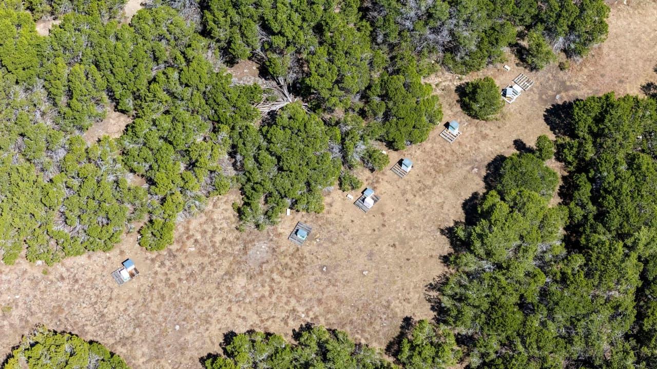 Acres 11.5347  Private Road 907 None photo 6