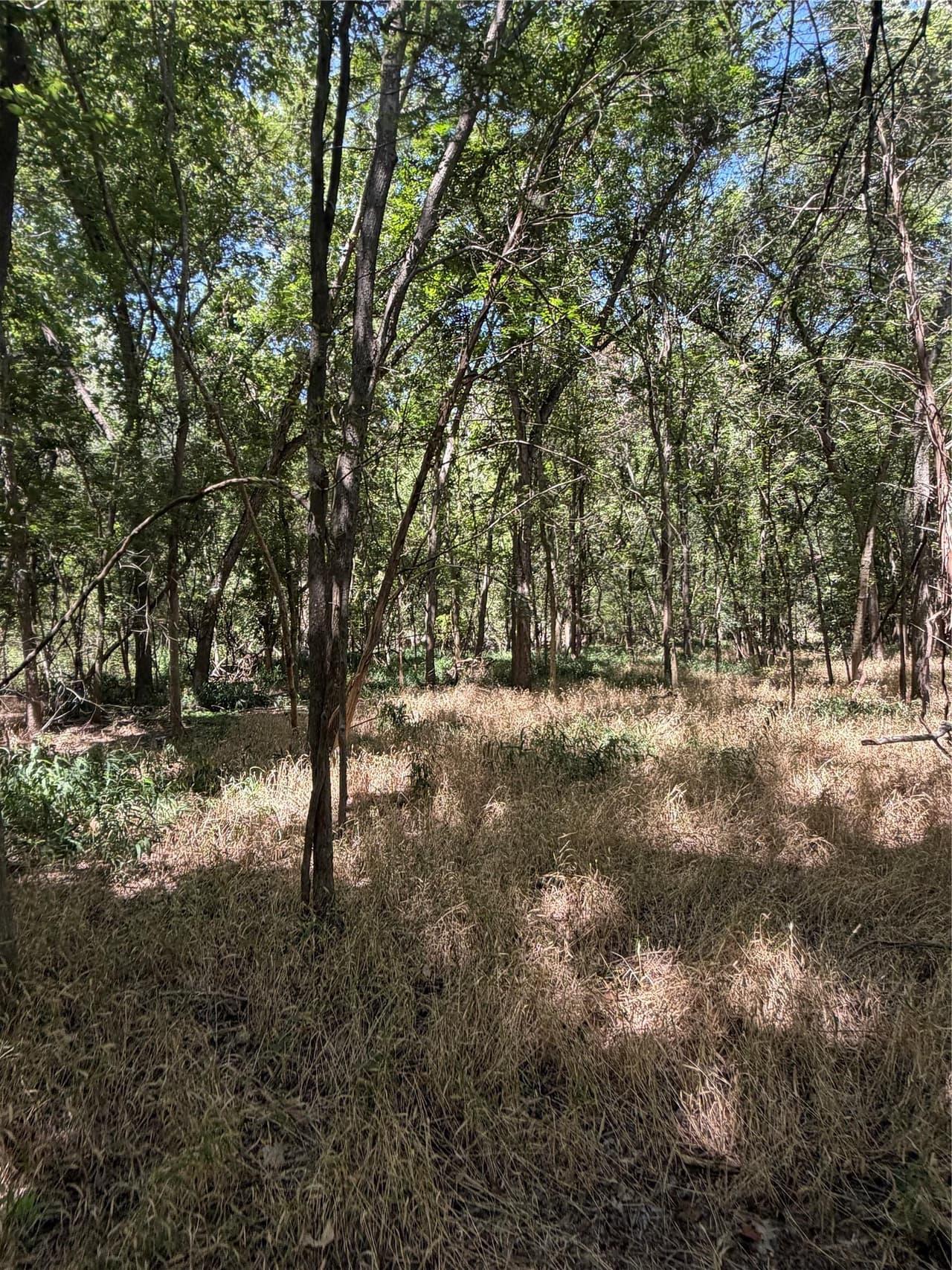 Lot 677  Kaukonahua Ln photo 2