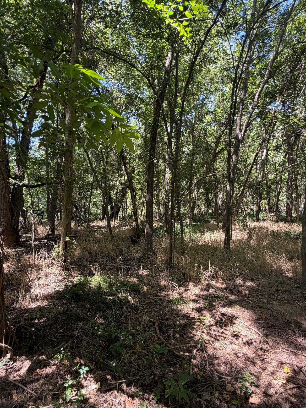Lot 677  Kaukonahua Ln photo 4