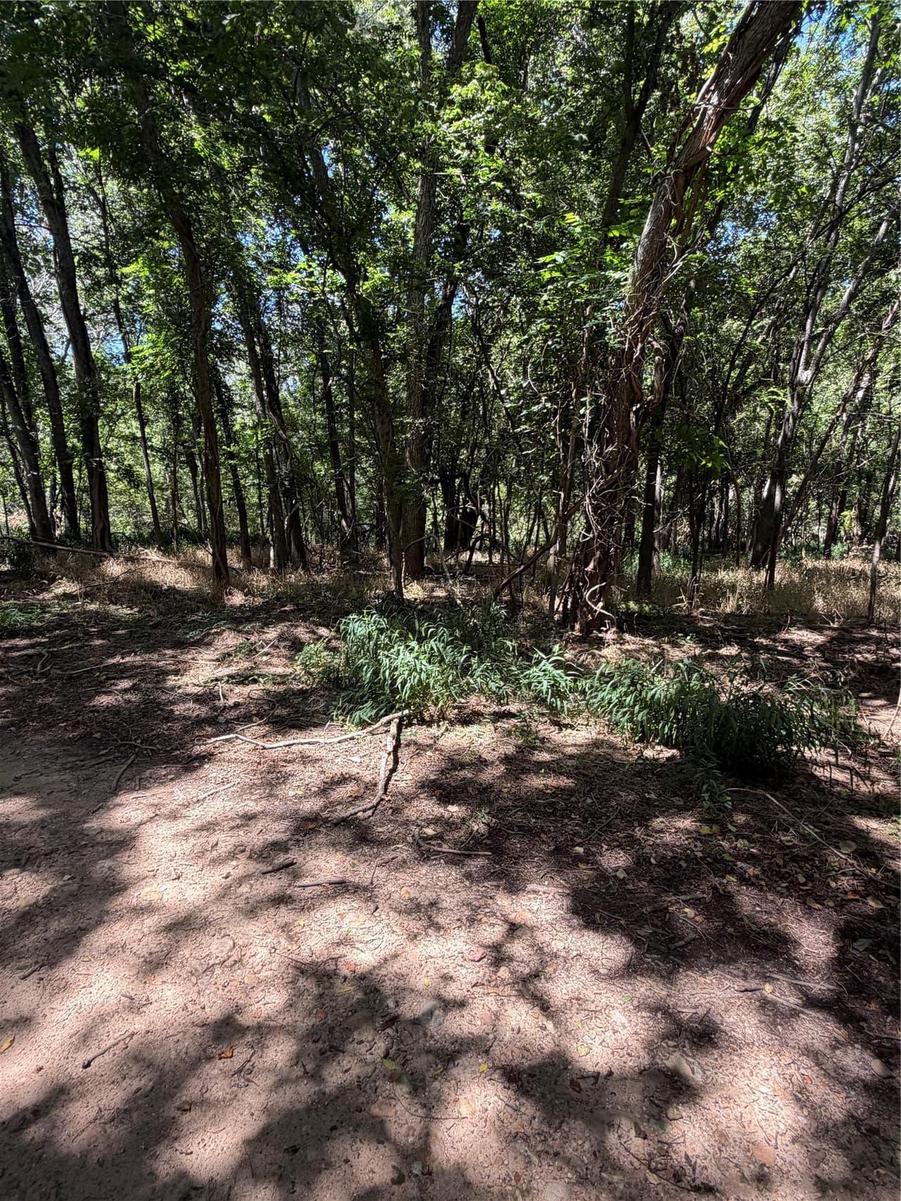 Lot 677  Kaukonahua Ln photo 5