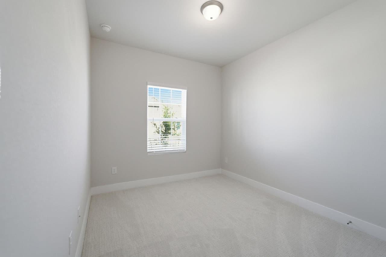 367  Begonia St photo 6