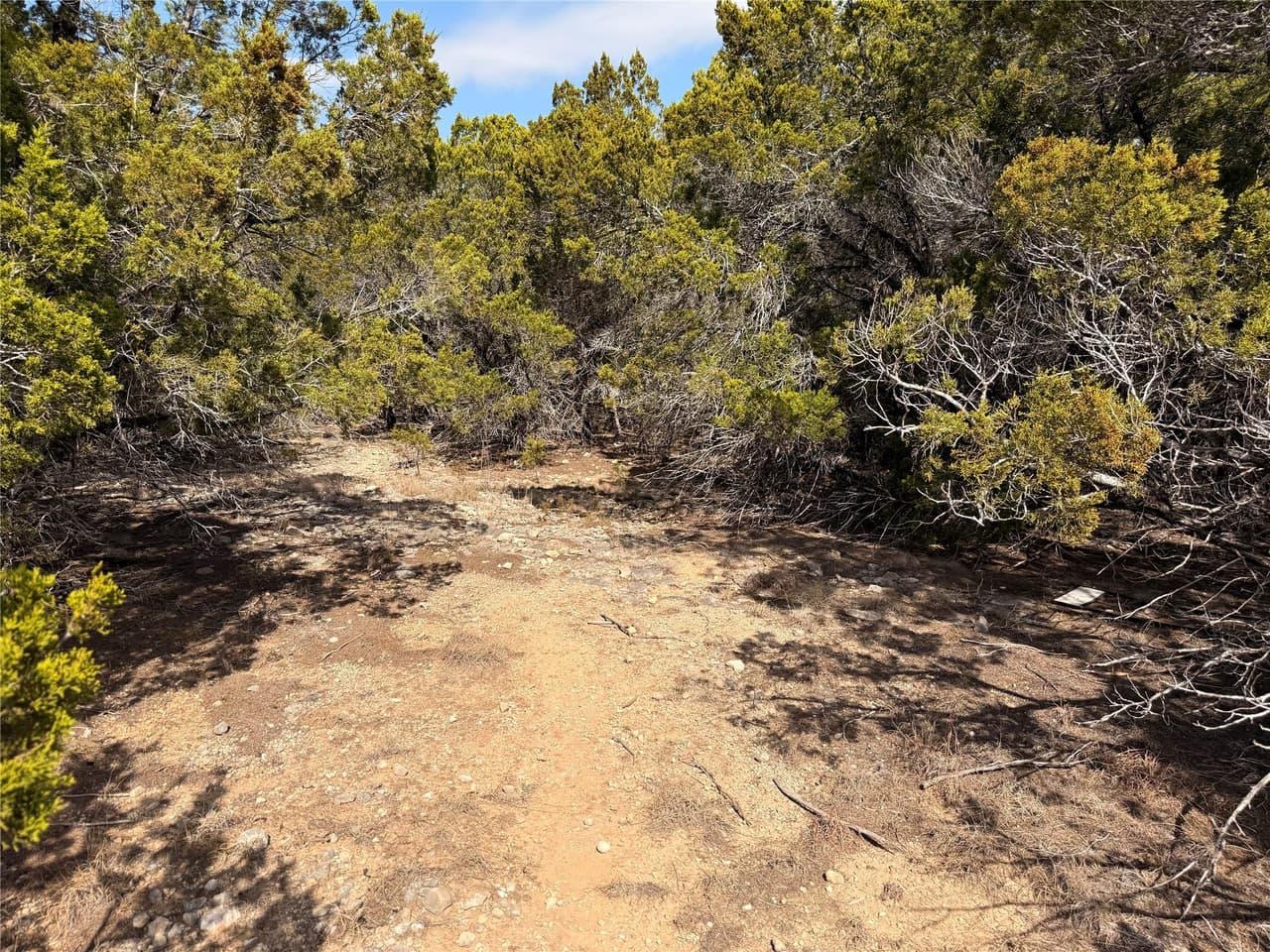 20206  Lee Ln photo 3
