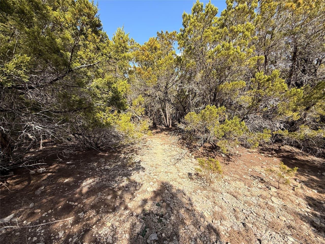 20206  Lee Ln photo 6
