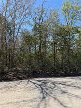 Lot 539  Iva Ln