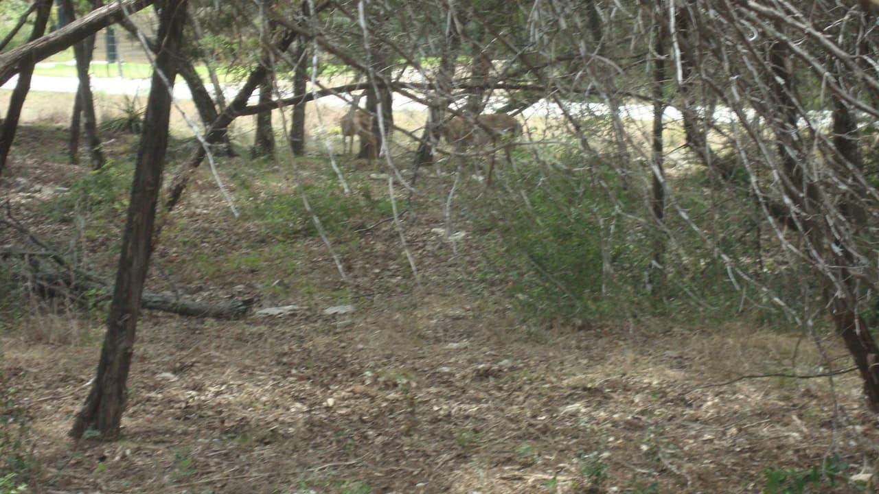 4094  Outpost Trce photo 6