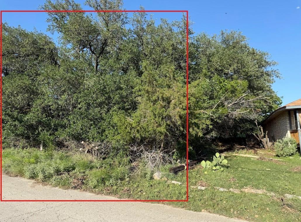 4209  Rockwood Dr photo 3