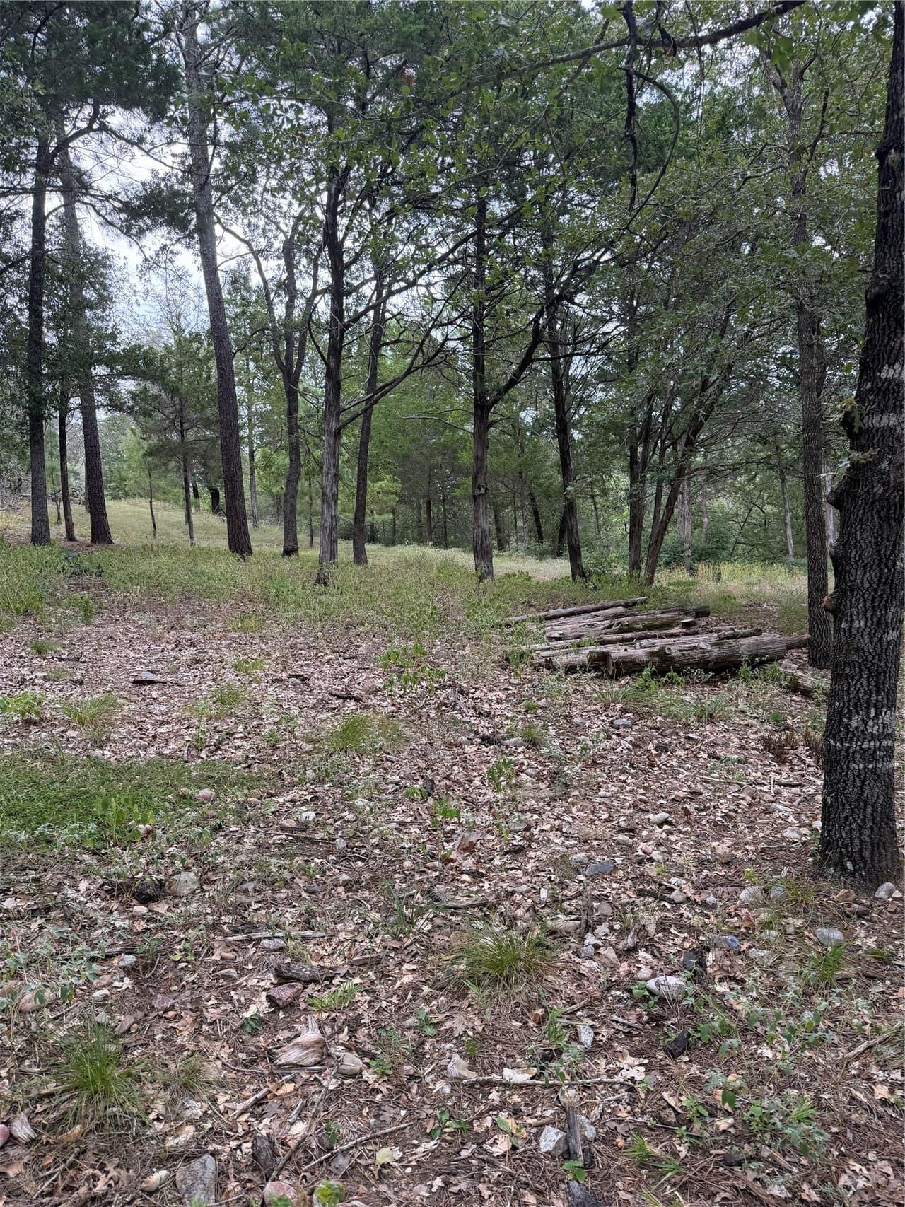 Lot  291  Aka Ct photo 3
