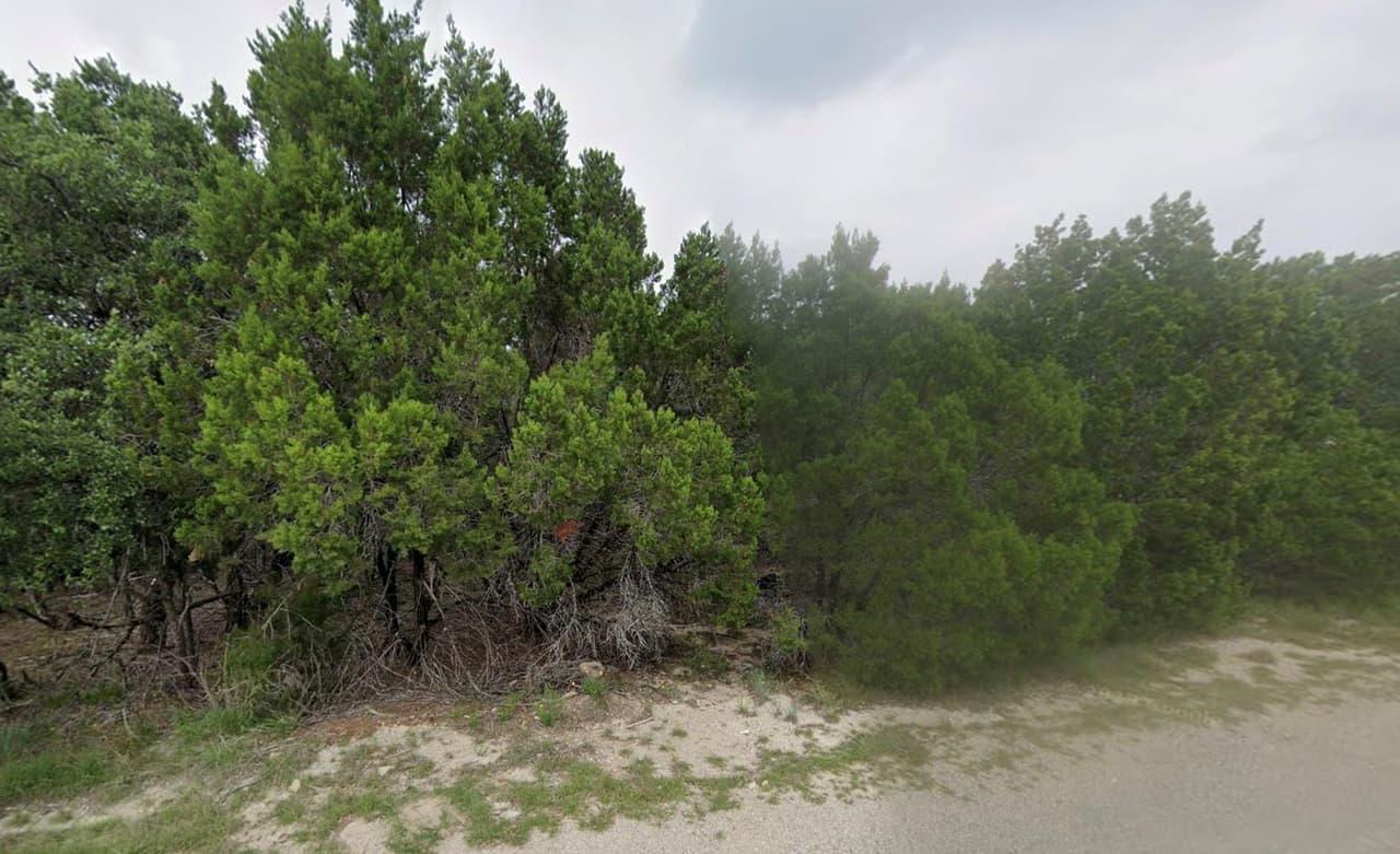 20312  High Dr photo 3