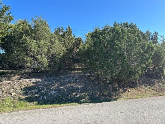 20607  High Dr photo 2