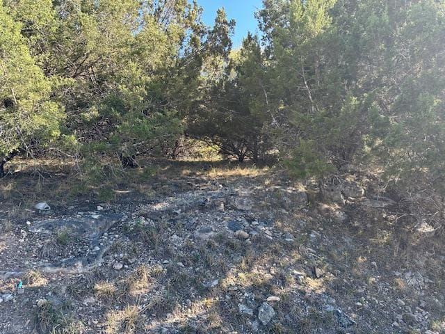 20607  High Dr photo 3