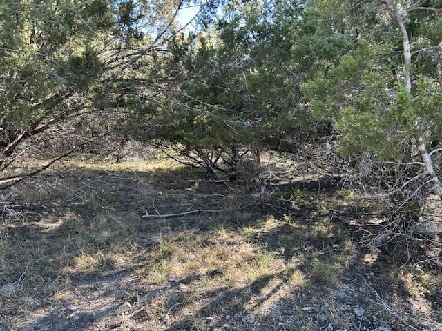 20607  High Dr photo 4