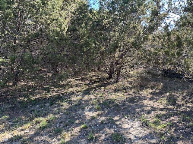 20607  High Dr photo 5