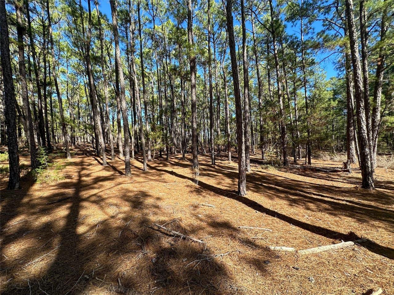 Lot 12  Hickory Ridge Dr