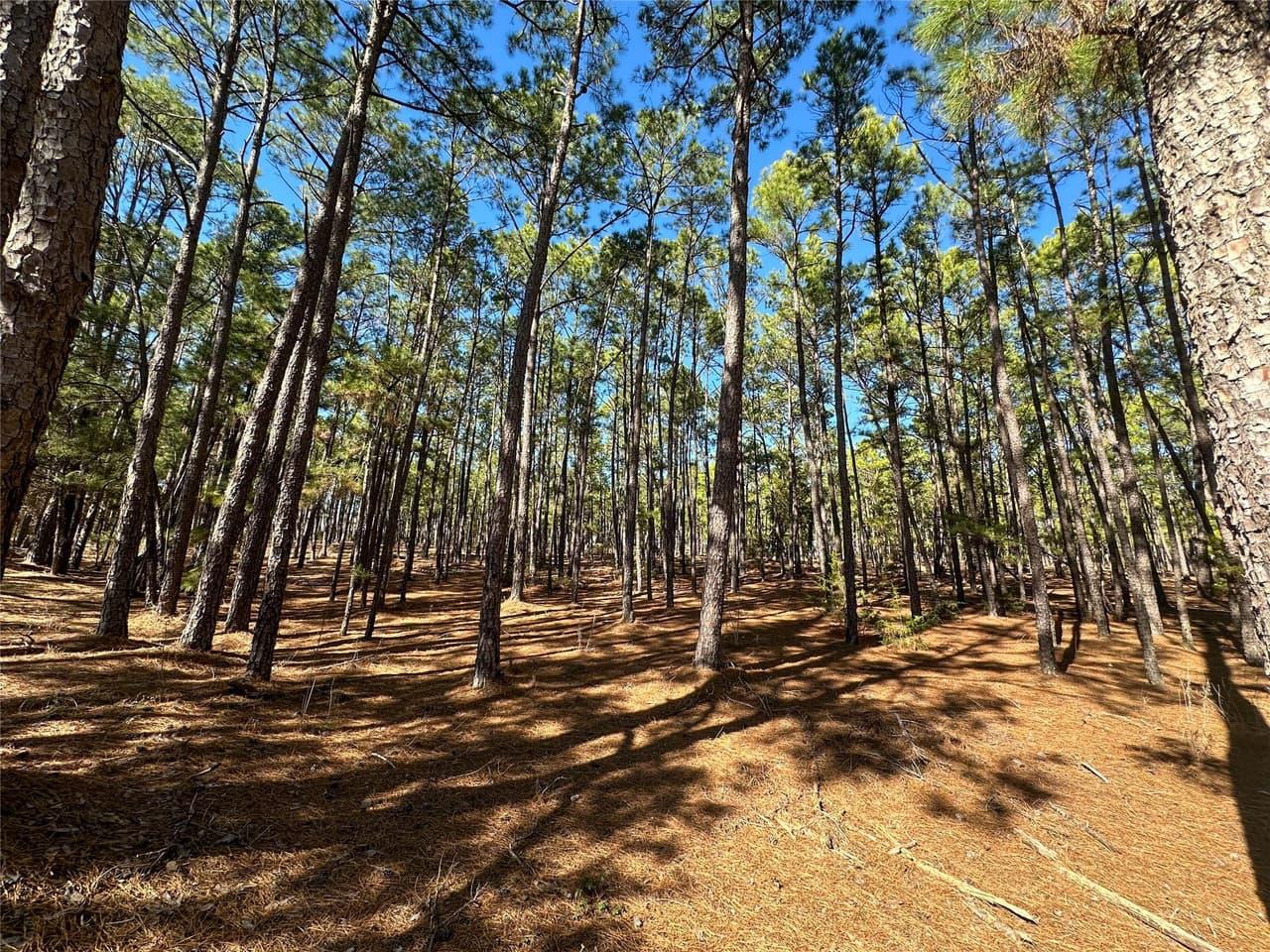 Lot 12  Hickory Ridge Dr photo 2