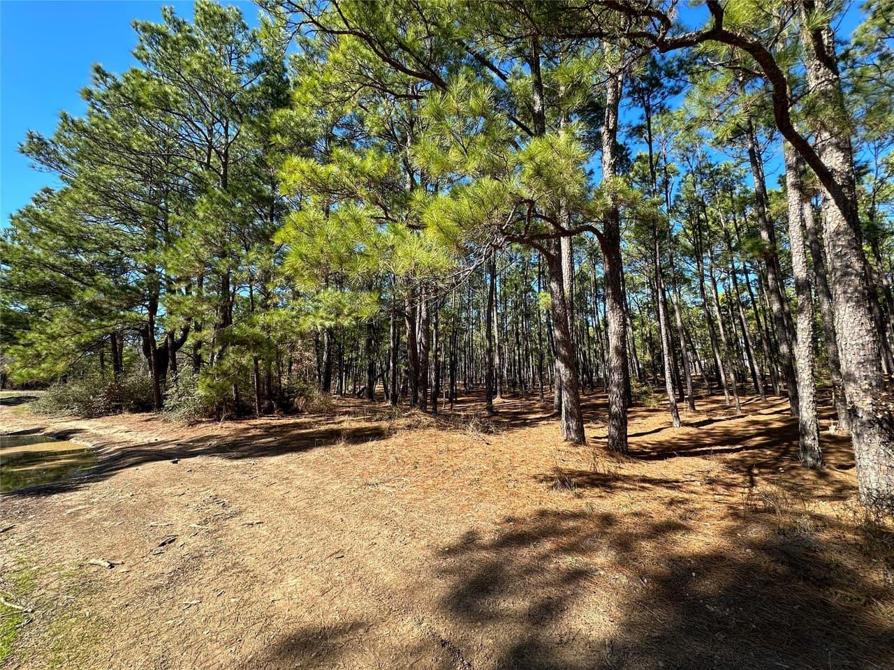 Lot 12  Hickory Ridge Dr photo 3