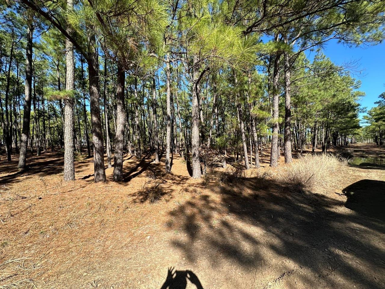 Lot 12  Hickory Ridge Dr photo 4