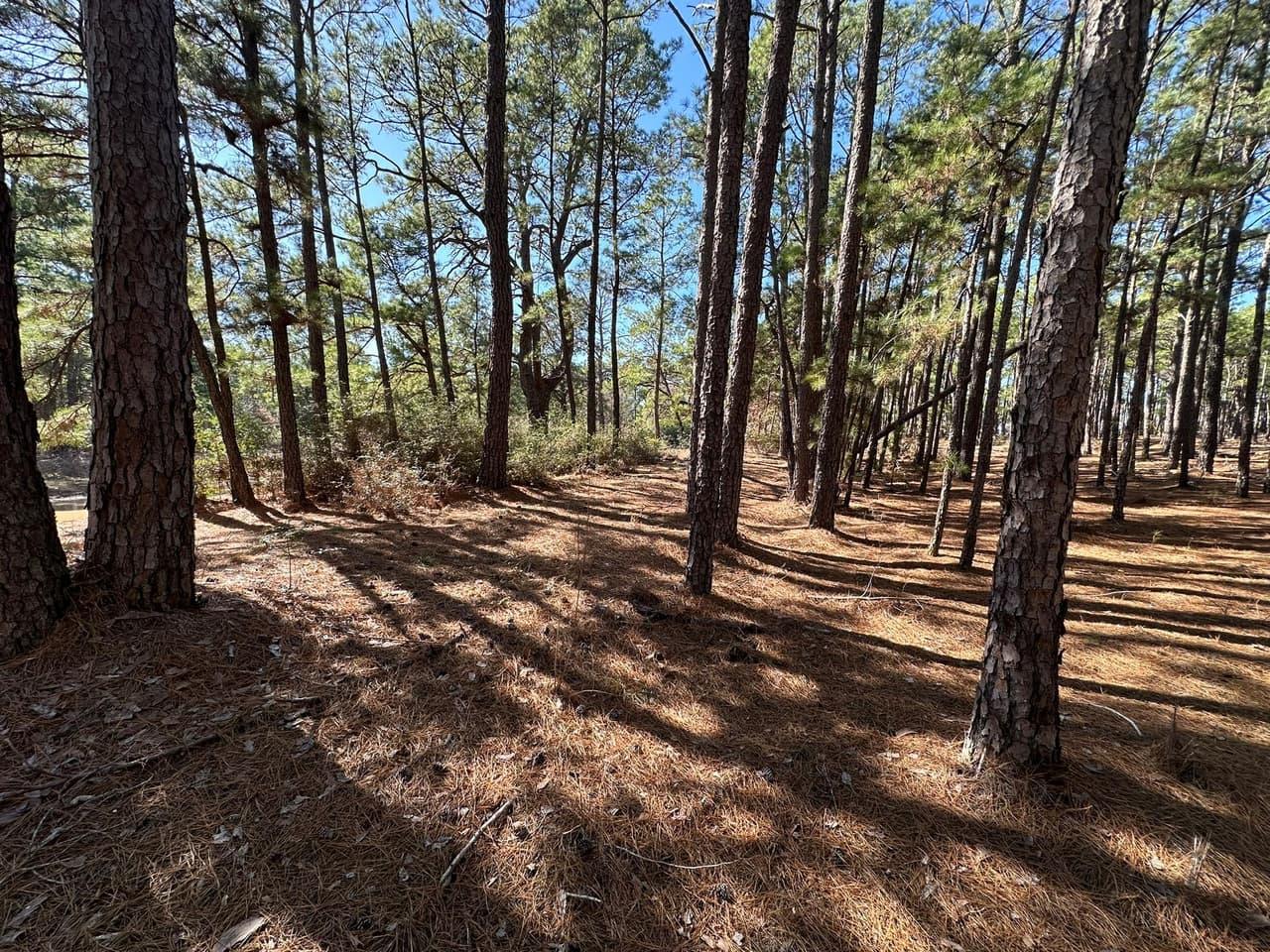 Lot 12  Hickory Ridge Dr photo 5