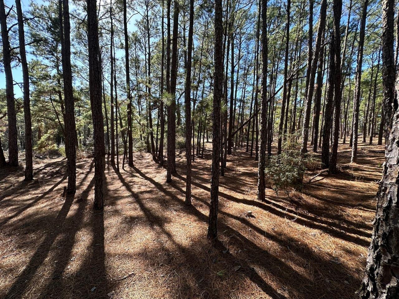 Lot 12  Hickory Ridge Dr photo 6
