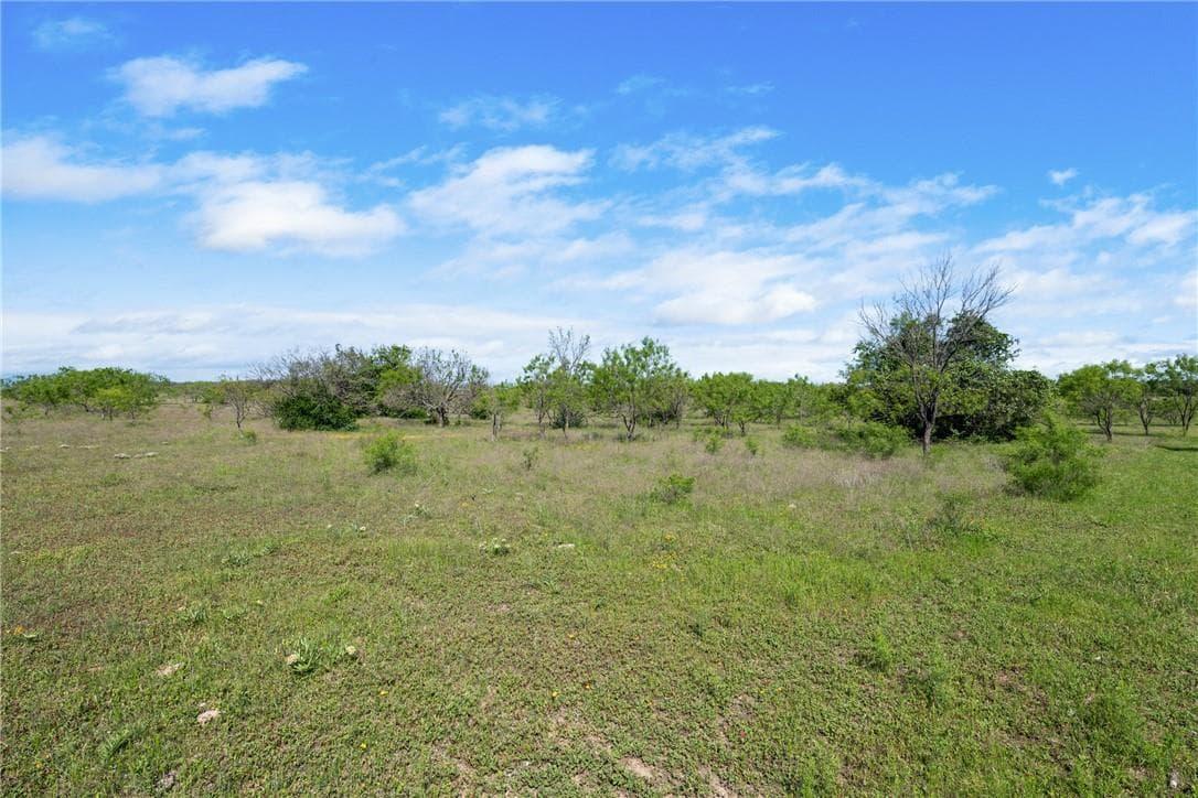 TBD  County Road 276 None photo 3