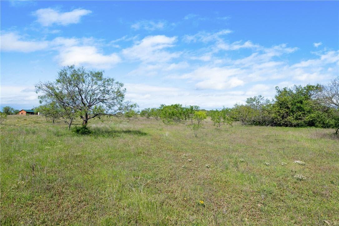 TBD  County Road 276 None photo 5