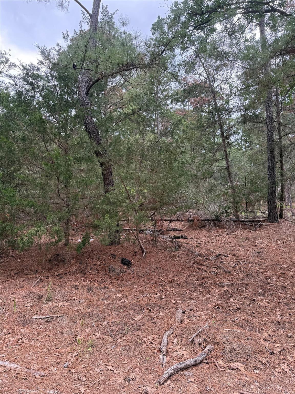 Lot 1428  Keeau Ct photo 4