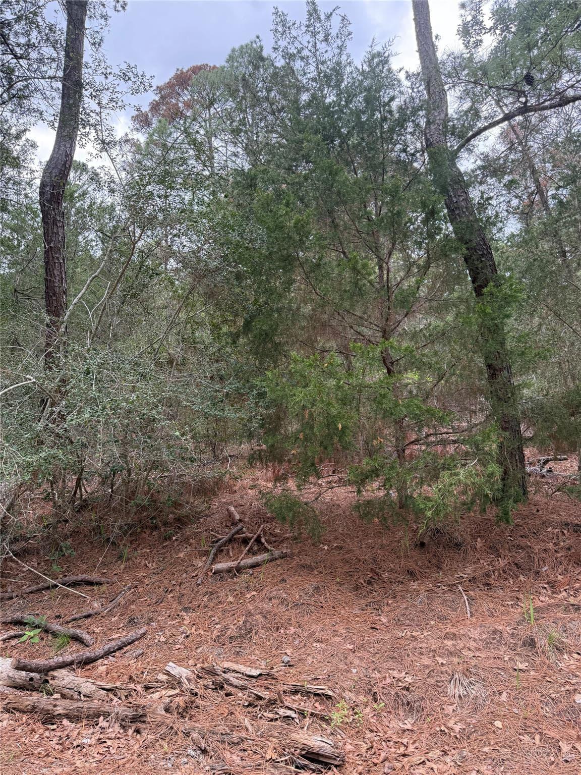 Lot 1428  Keeau Ct photo 5